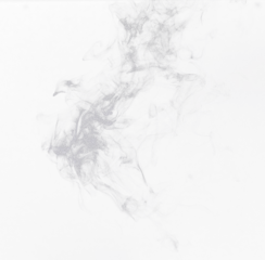 Photo sur Plexiglas Fumée Gray smoke, fog or pattern in a studio with no people for a smokey effect for creative art. Pollution, smoking or smog in the air from a cigarette or incense for creativity by a white png background.