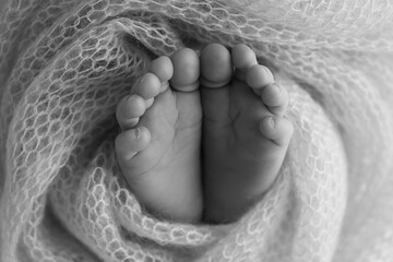 The tiny foot of a newborn baby. Soft feet of a new born in a wool blanket. Close up of toes, heels and feet of a newborn. Knitted heart in the legs of baby. Macro photography. Black and white 