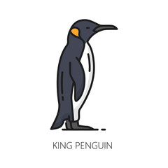 King or emperor penguin isolated color line icon. Vector large flightless seabird of South America, king penguin animal, atlantic gentoo creature