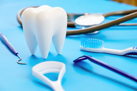 Dental model and dental equipment on blue background, concept image of dental background. 