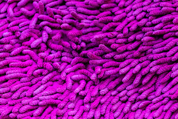 Detail of the doormat texture