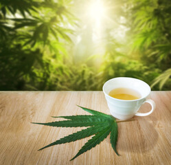 hot drink hemp tea with hemp green leaf on wood table with blur hemp farm with sunlight for beverage