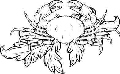 monochrome Crab with claws. Sketch in a linear style isolated on a white background.