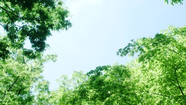 春、初夏、夏の晴天の空とさわやかな雲 夏休み・ゴールデンウィーク・観光・旅行・アウトドア・洗濯のイメージ背景