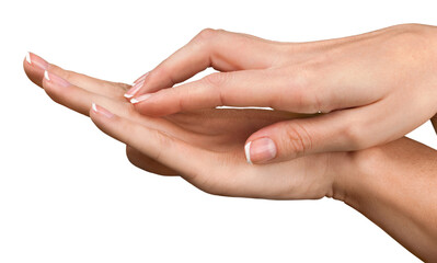 Female Hands with Manicure