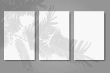 3 vertical sheets of textured white paper on grey table background. Mock up with an overlay of plant shadows. Natural light casts shadows from the tui branch