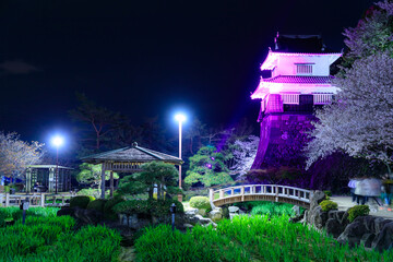 ライトアップされた春の大村公園　長崎県大村市　Illuminated Omura Park in...
