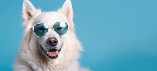 Playful white dog with trendy accessories, a striking blue backdrop, and cool sunglasses. A joyful and happy portrait. AI Generative.