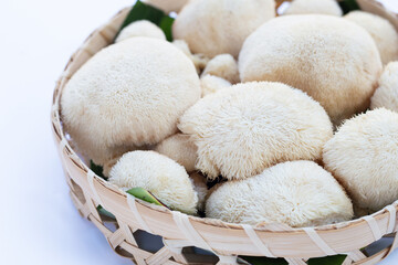 Fresh lion's mane mushroom on white background.