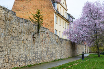 Bilder aus Naumburg Burgenlandkreis