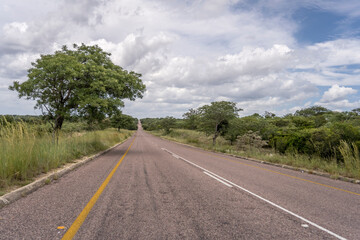 Fototapeta na wymiar R531 road in countryside near Timbavati, South Africa