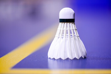 White cream badminton shuttlecock and badminton rackets on blue floor of indoor badminton court, soft and selective focus, concept for badminton sport lovers around the world