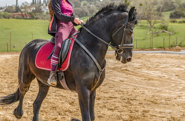 unrecognizable woman riding on a black horse with a mountainous landscape in the background and blue sky