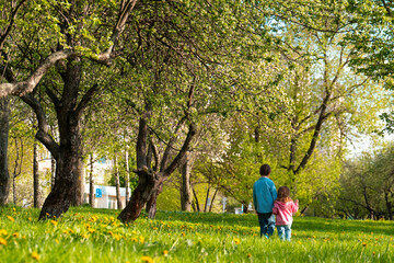 Obraz premium Back view of little girl with brother walking together among trees in green park while holding hands