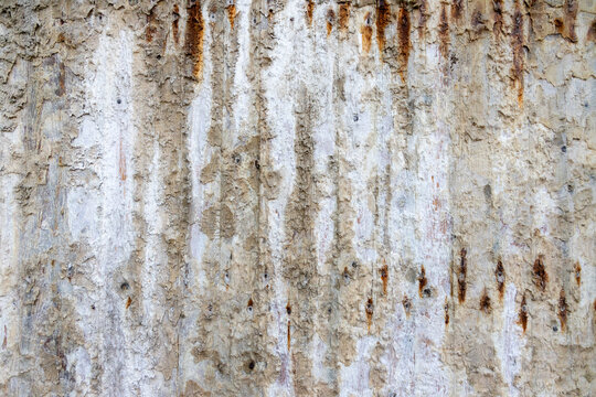 Textur Holzwand mit rostigen N&auml;geln