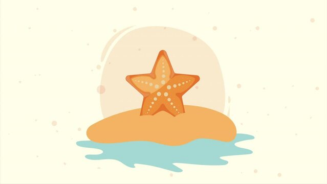 starfish sealife on the beach animation
