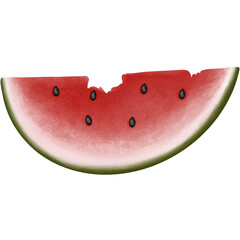 Watercolor watermelon clipart.Summer fruit illustration isolated on transparent background.