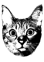 正面を向いた猫の顔のイラスト