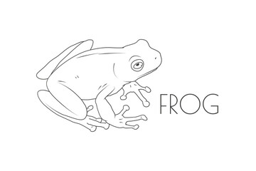 Illustration of a Animal - Frog, Amphibia