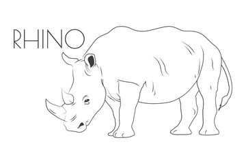 Illustration of a Animal - Rhino, Mammalia