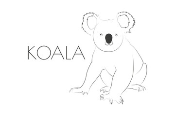 Illustration of a Animal - Koala, Mammalia