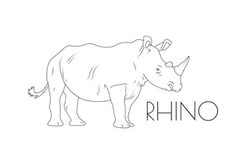 Fototapeta na wymiar Illustration of a Animal - Rhino, Mammalia