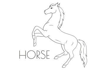 Illustration of a Animal - Horse, Mammalia