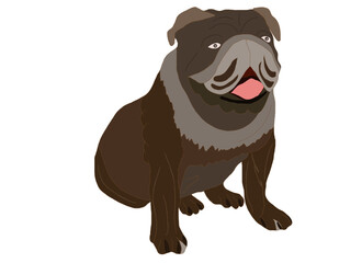 The most good breed of dogs is the Bulldog in brown color and chunky meat