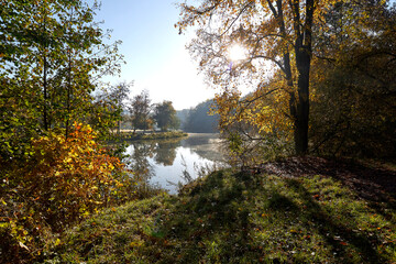 Autumn Rechka Psel - will be an excellent gadget screensaver