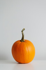 Single fresh orange miniature pumpkin on table with copy space