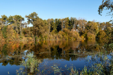 Autumn Rechka Psel - will be an excellent gadget screensaver