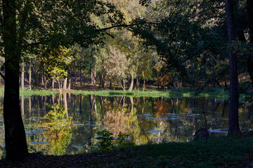 Autumn Rechka Psel - will be an excellent gadget screensaver