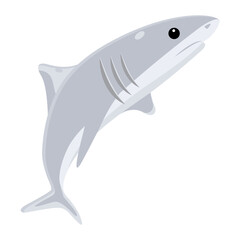 White Shark 