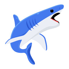Shark 
