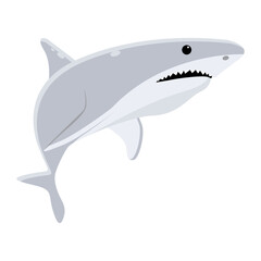 Carcharodon Carcharias