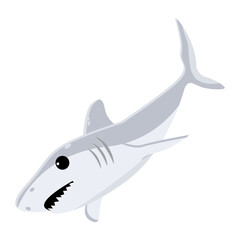 Obraz premium Shark Fish 