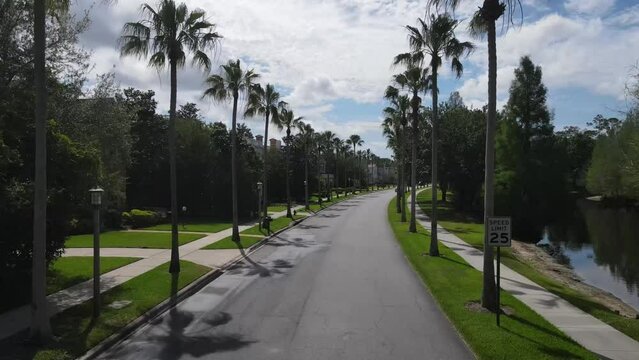 tree lined street in Celebration, Florida.  A master planned luxury community near Disney World