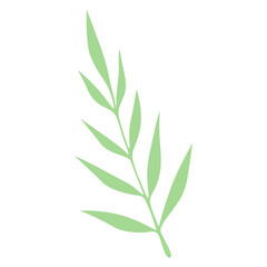 aesthetic handdrawn leaf