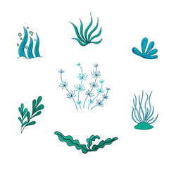 Set seaweed plant vector Illustration with air bubble. Cartoon Isolated on white. Sea life nature.