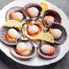 scallop in shell seafood meal snack on the table copy space food background rustic top view 