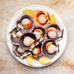 scallop in shell seafood meal snack on the table copy space food background rustic top view 