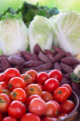 fresh vegetable in basket in market
