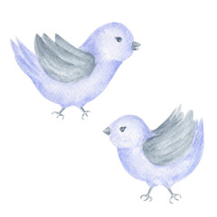 Pair of Small Watercolor Birds. Lavender and grey decorative birdies set. To use for wallpaper, banner, textile, postcard or wrapping paper