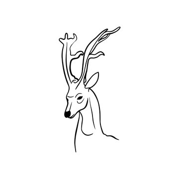Vector sketch hand drawn silhouette of a deer with antlers, doodle style