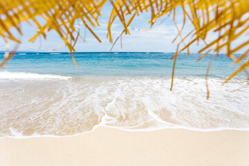 Fototapeta na wymiar Calm and relaxing empty beach scene, blue sky and white sand.