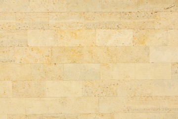 Shell limestone wall texture background.