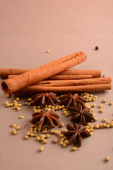 Cinnamon stick and star anise spice.