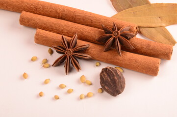 Cinnamon stick and star anise spice.
