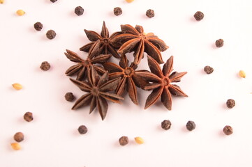 Cinnamon stick and star anise spice.