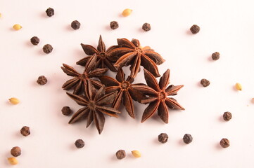 Cinnamon stick and star anise spice.